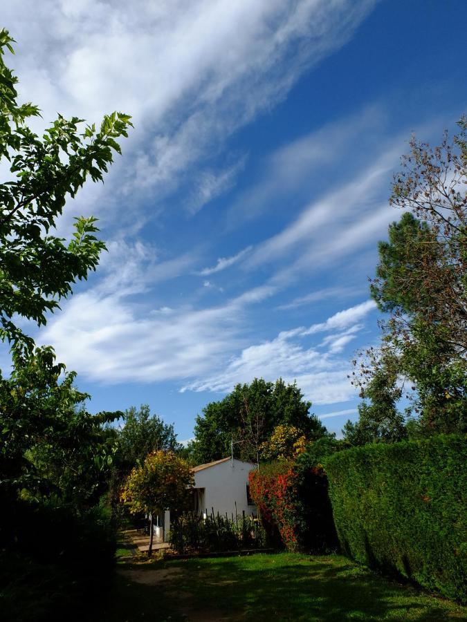Domaine Du Planas Ailhon Ardeche Bed & Breakfast エクステリア 写真